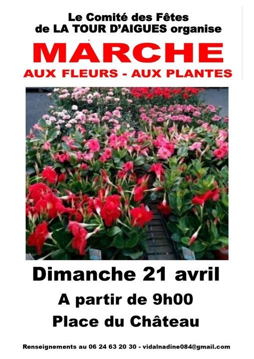 Marché aux fleurs et aux plantes