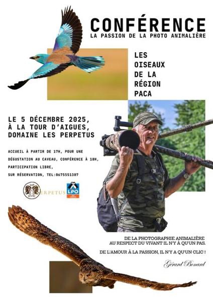 Conférence sur la Photo Animalière