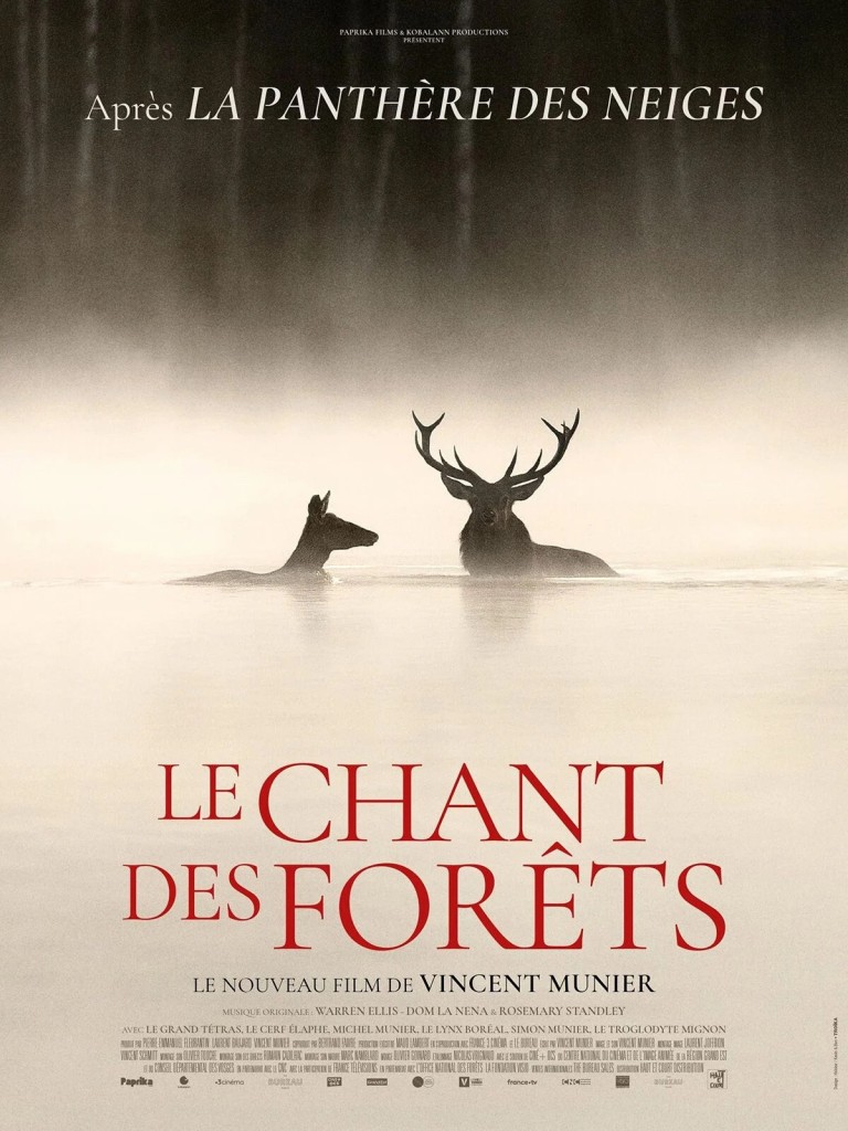Cinéma - Le chant des forêts 