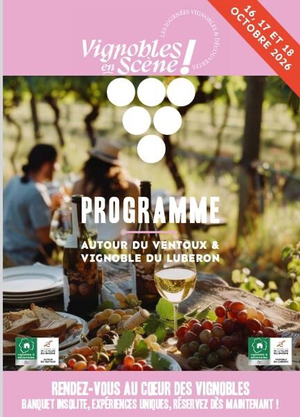 Vignobles en Scène - Atelier Vins et Cocktails
