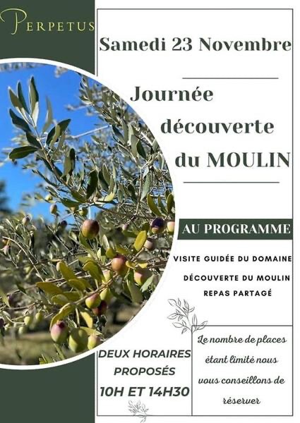 Journée découverte du moulin