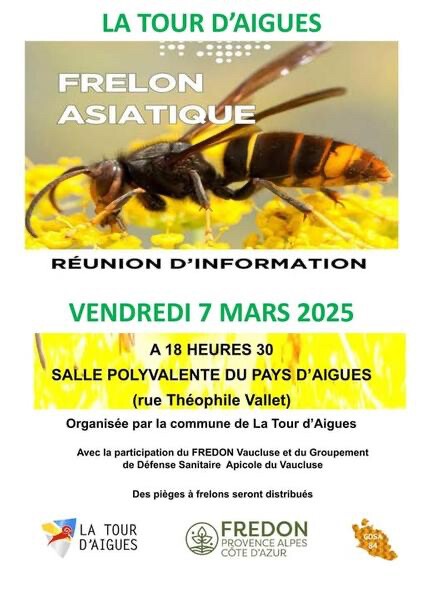 Réunion d'information sur le frelon asiatique