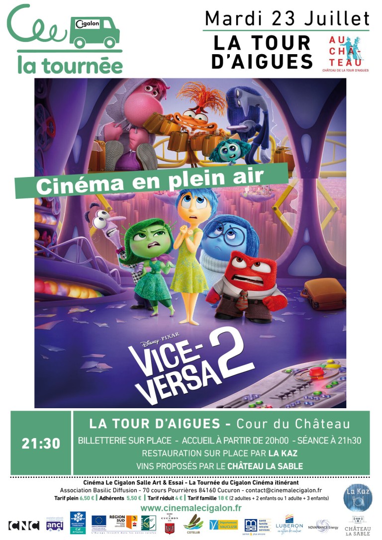 Ciné plein air - Vice Versa 2
