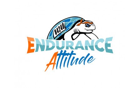 Endurance Attitude